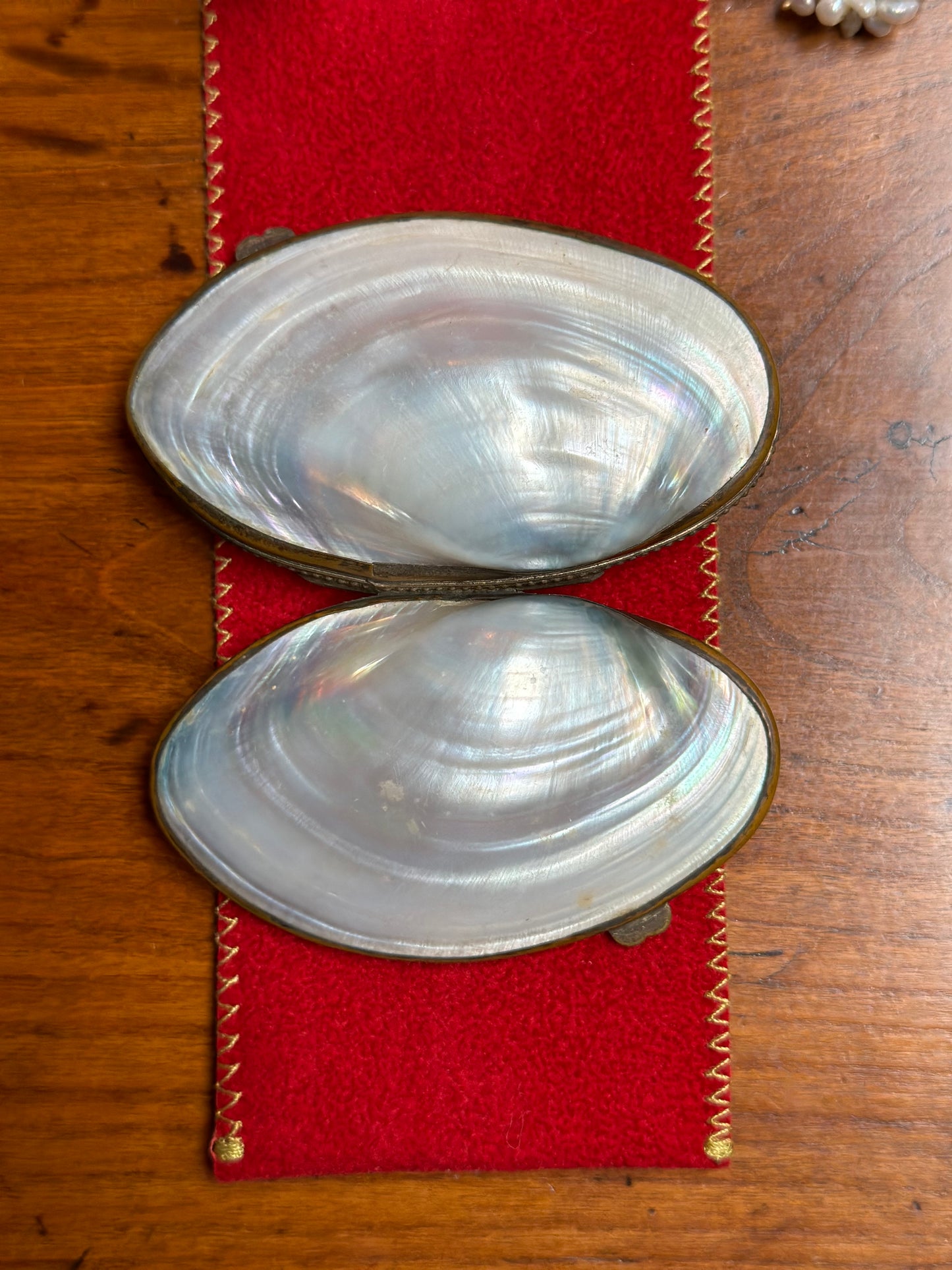 Antique French Mother Of Pearl Shell Coin Purse - Small