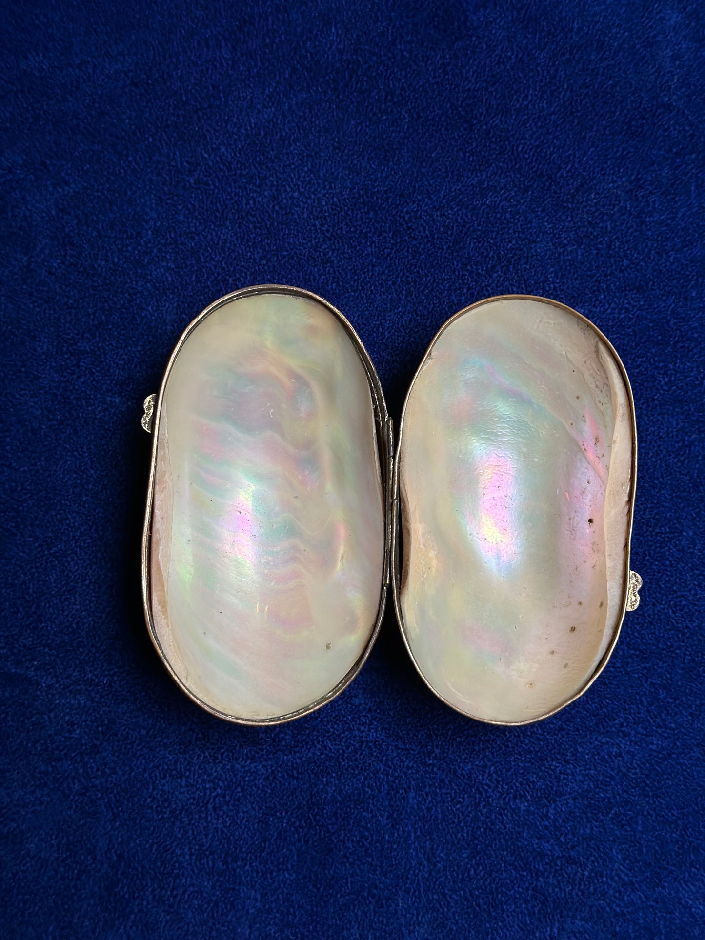 Antique Mother Of Pearl Shell Coin Purse - Medium