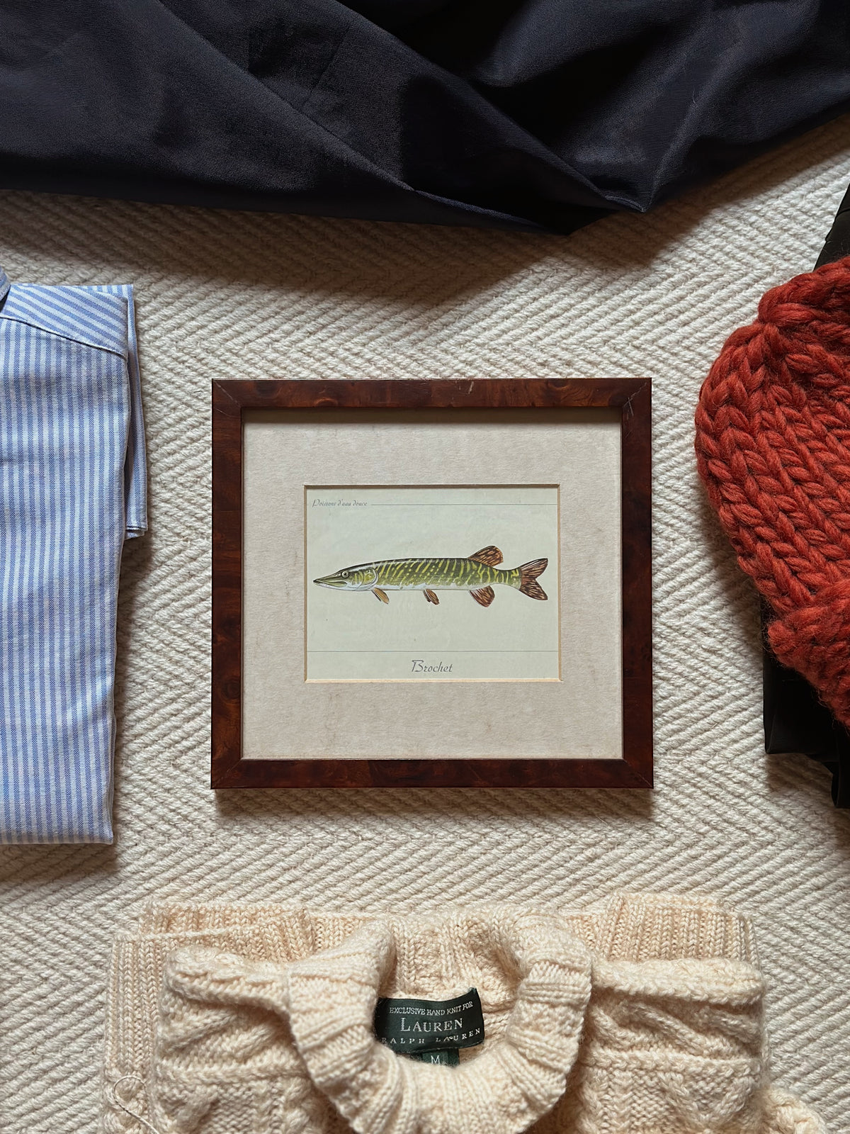 Antique Framed Fish Print - Pike