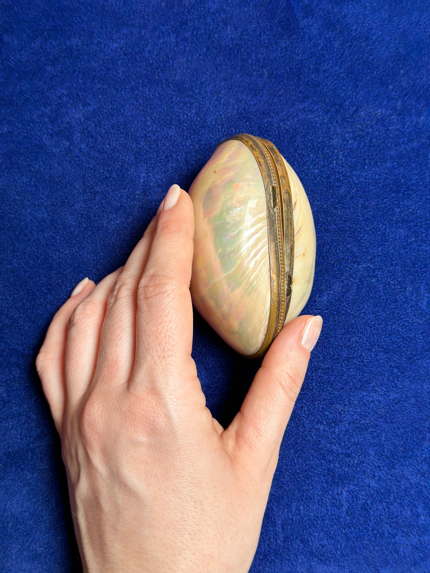 Antique Mother Of Pearl Shell Coin Purse - Medium