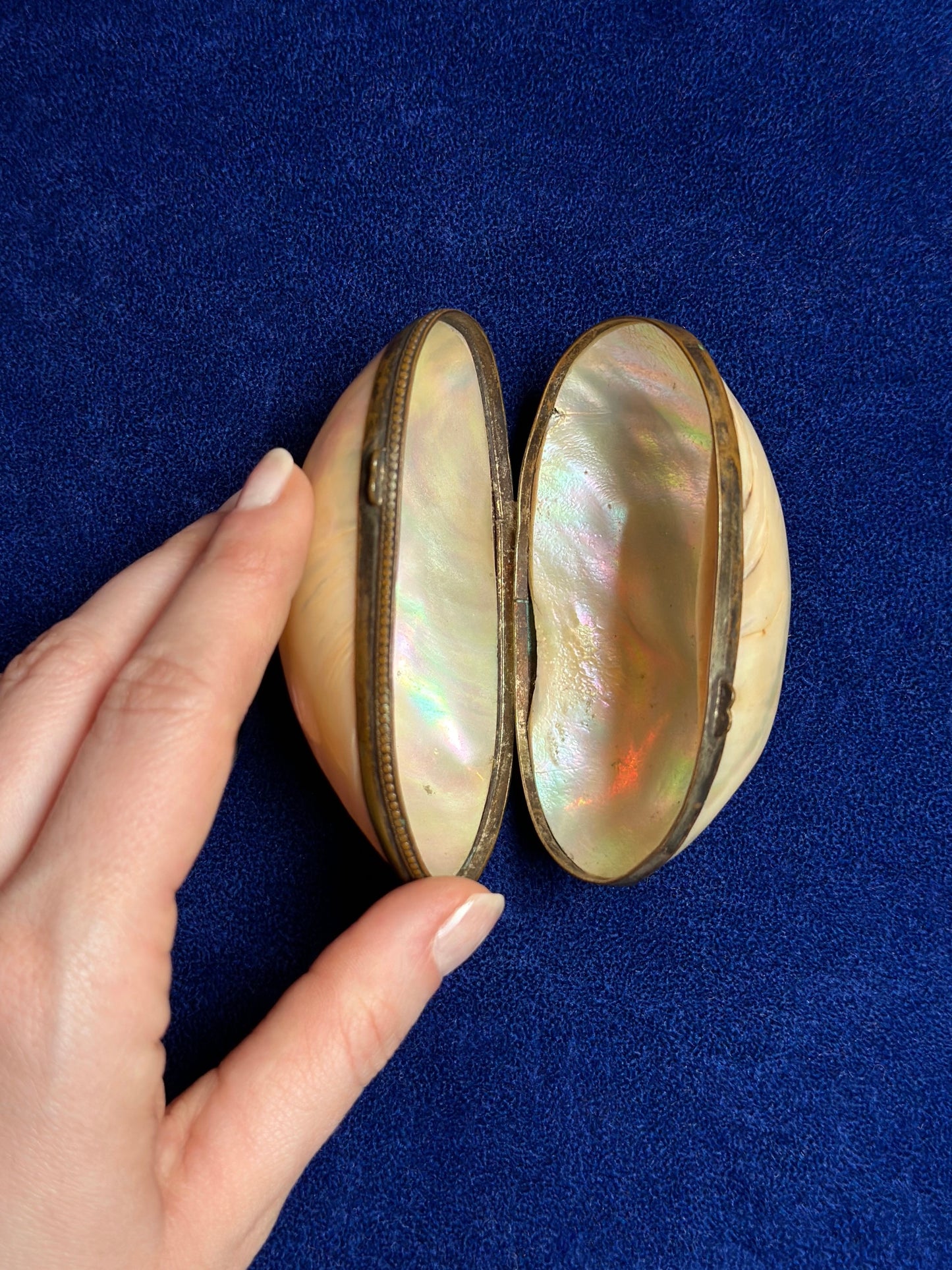 Antique Mother Of Pearl Shell Coin Purse - Medium