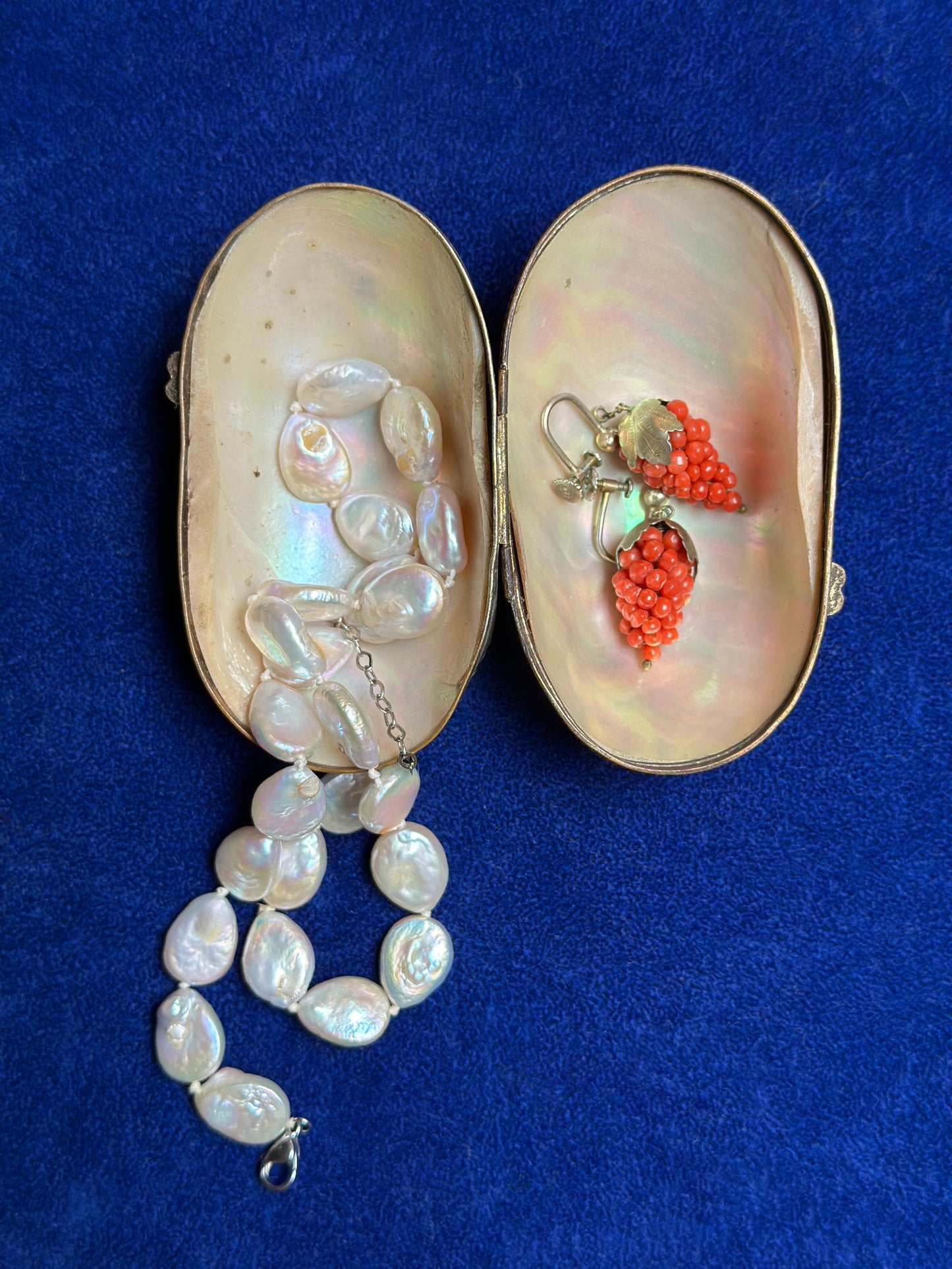 Antique Mother Of Pearl Shell Coin Purse - Medium
