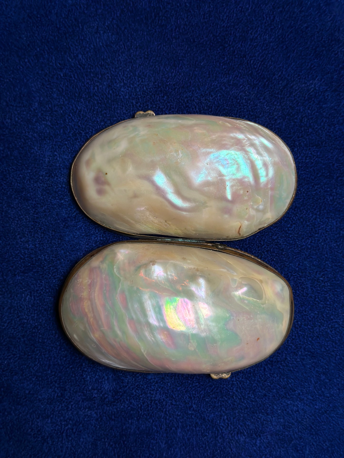 Antique Mother Of Pearl Shell Coin Purse - Medium
