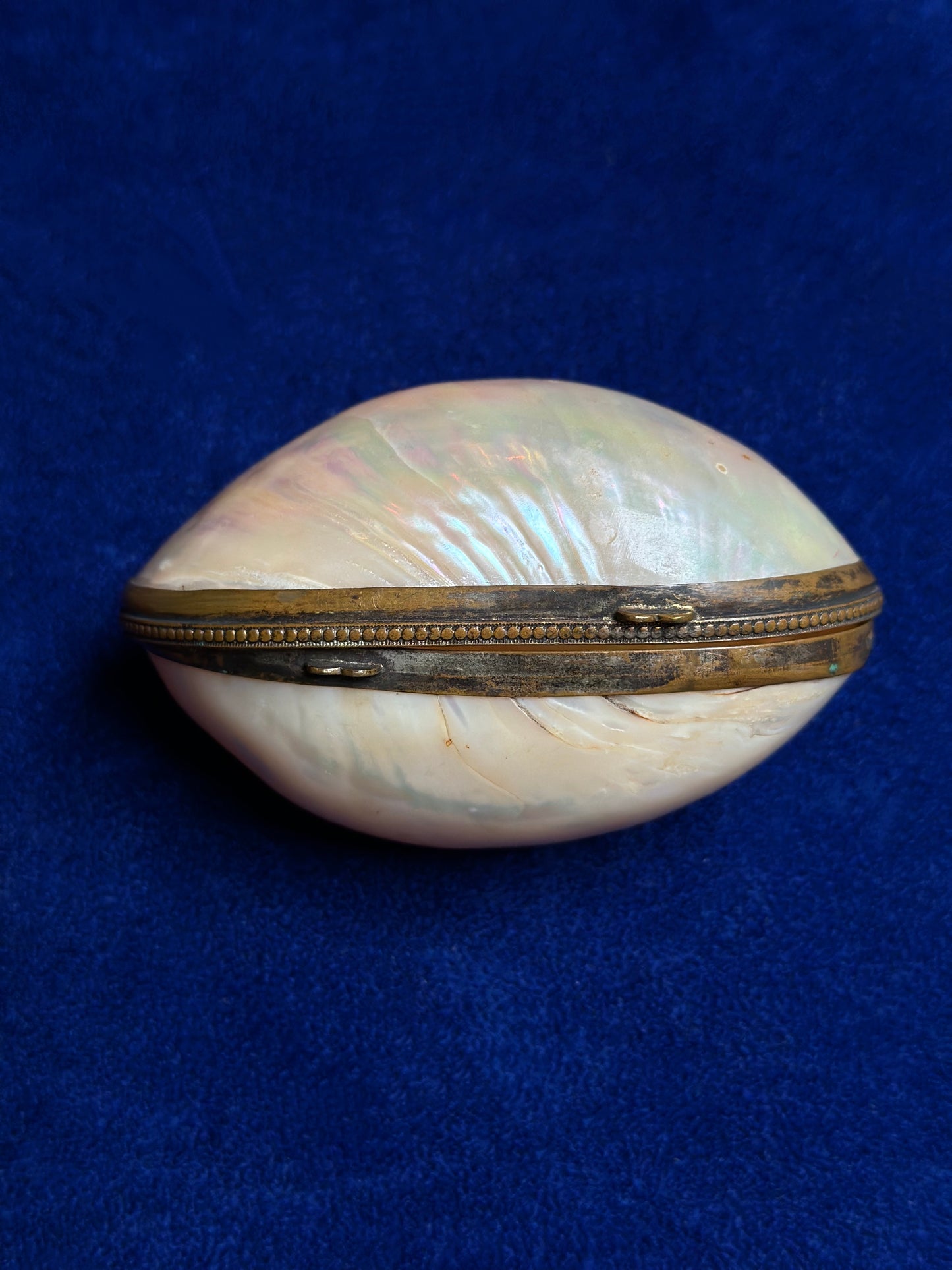 Antique Mother Of Pearl Shell Coin Purse - Medium